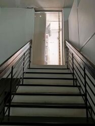 Jalan Singa (D14), Terrace #569773431